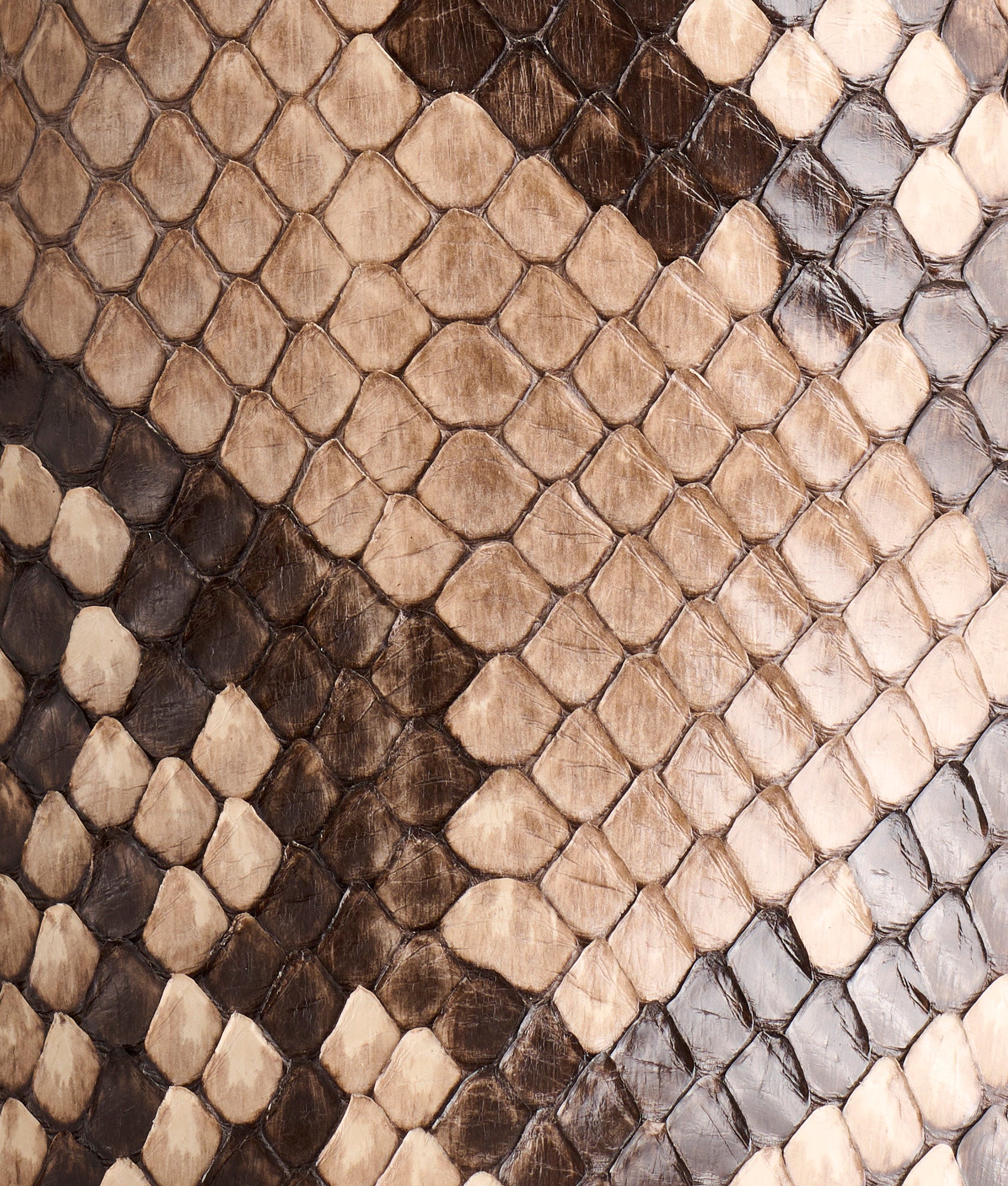 Vittoria :: Black/White - Image 8