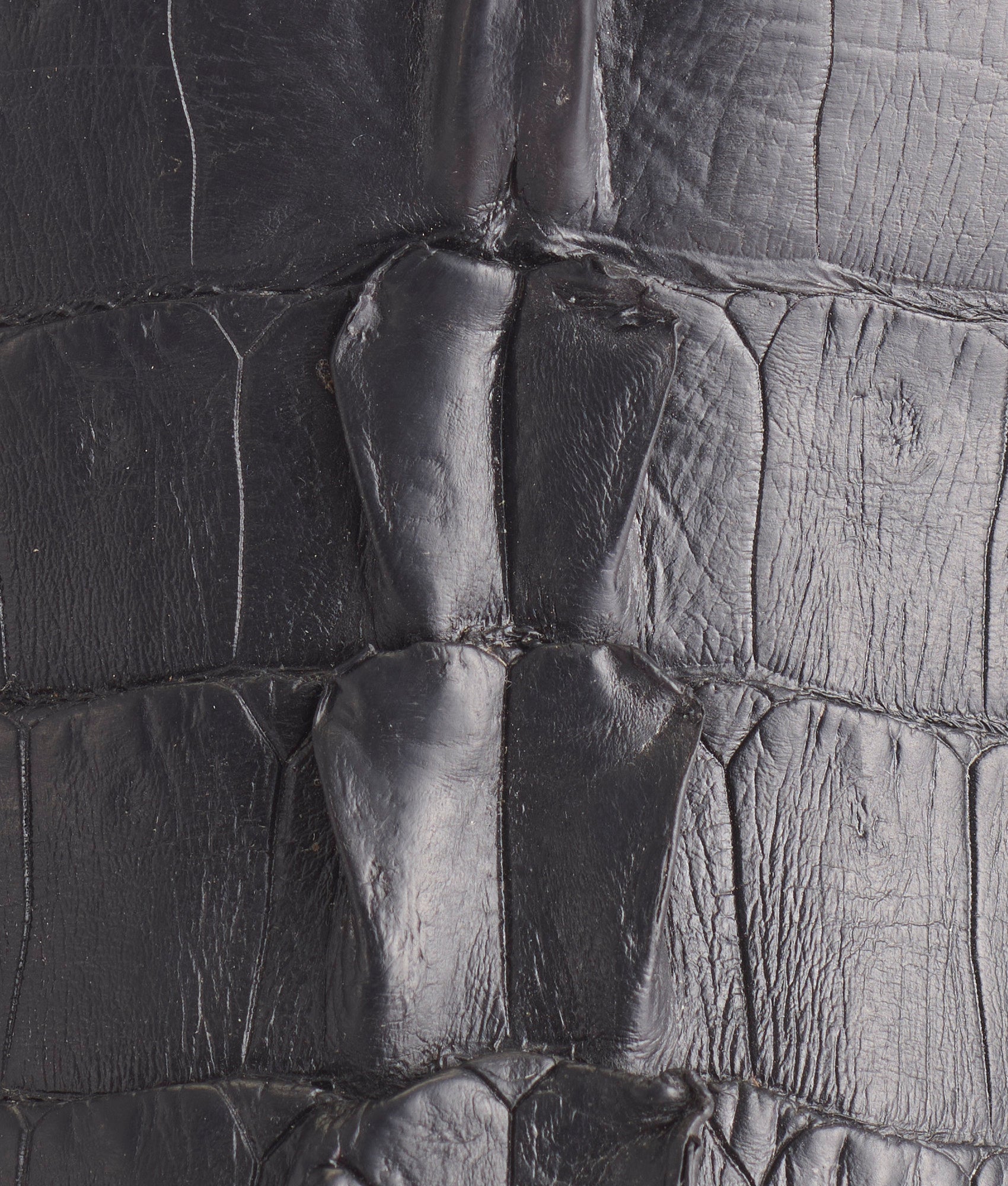 Haan :: Black + Pearl Bone - Image 9