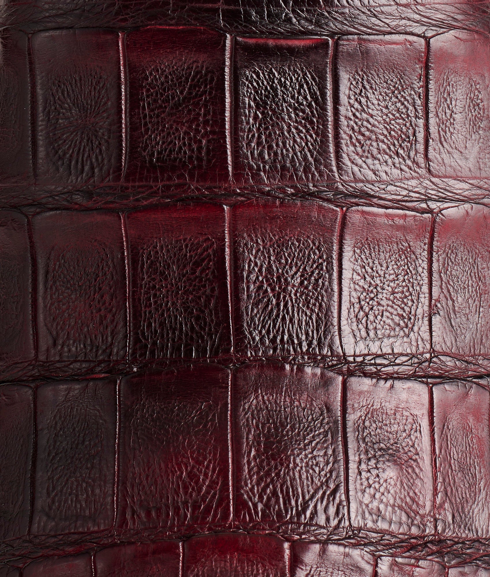 Bryan Exotic :: Black Cherry + Sangria - Image 7