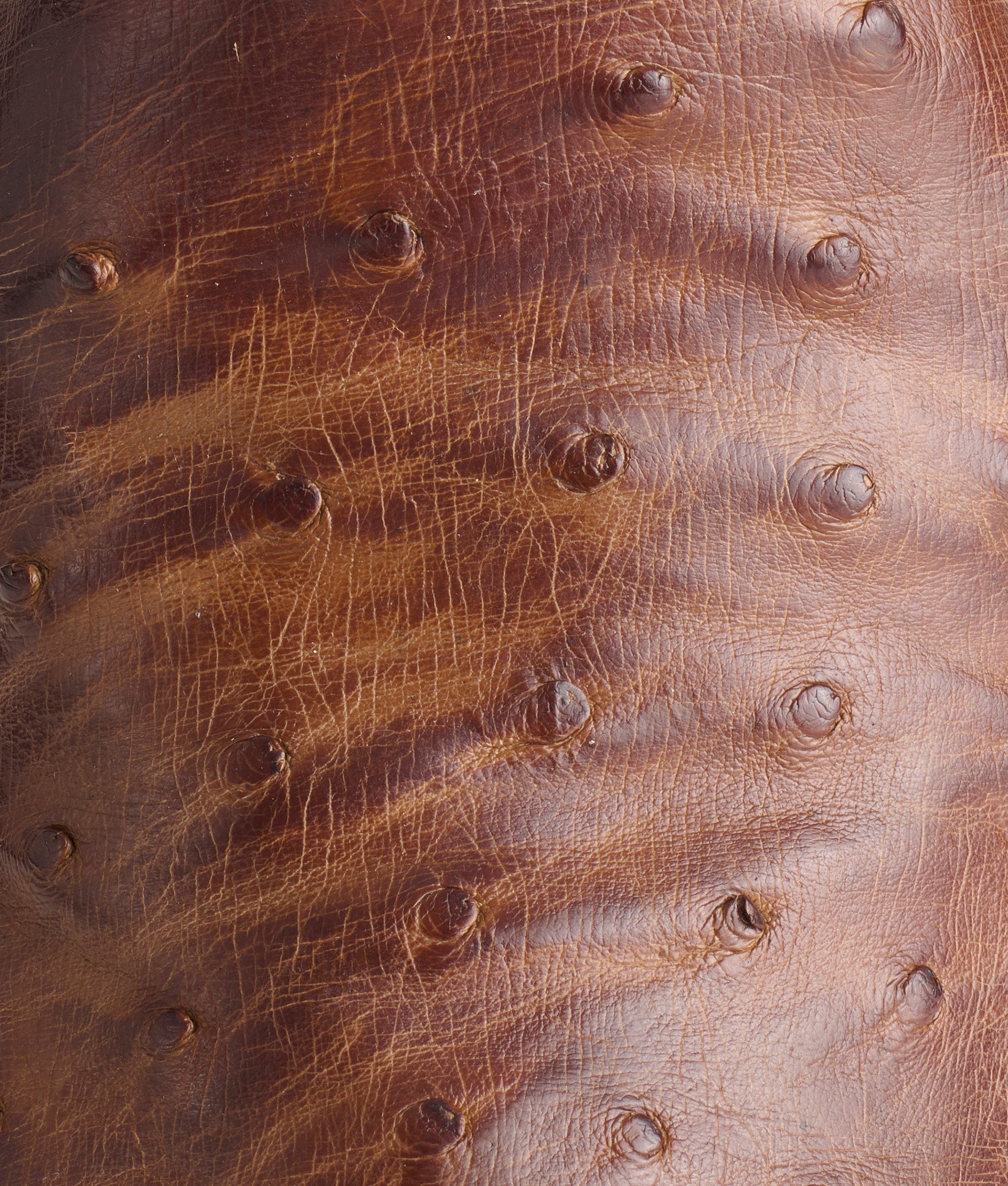 Randall :: Kango Tobacco - Image 16