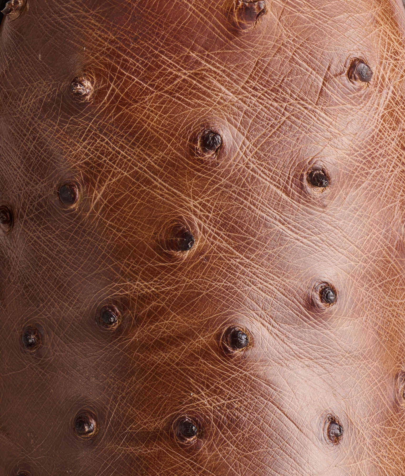 Randall :: Kango Tobacco - Image 8