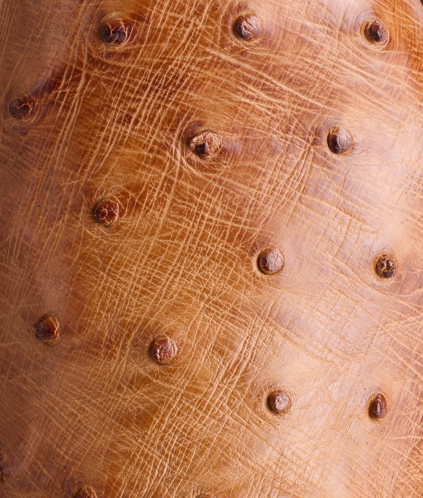 Augustus :: Barnwood + Pecan - Image 8