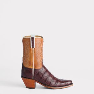 Dale Exotic :: Sienna