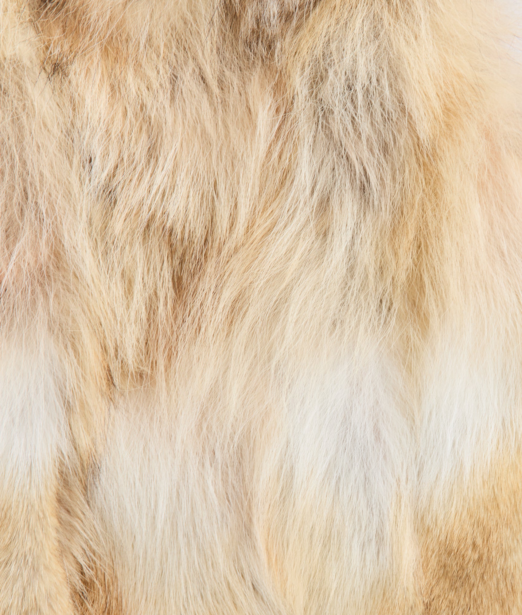 Kirsta Fur Vest :: Natural - Image 9