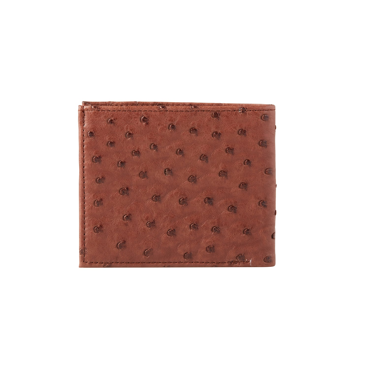 Hipster Wallet ?C Ostrich :: Sienna - Image 3