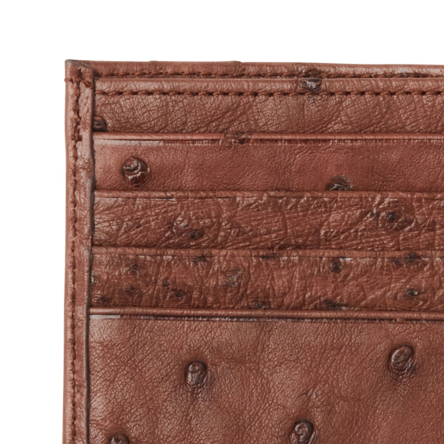 Hipster Wallet ?C Ostrich :: Sienna - Image 2