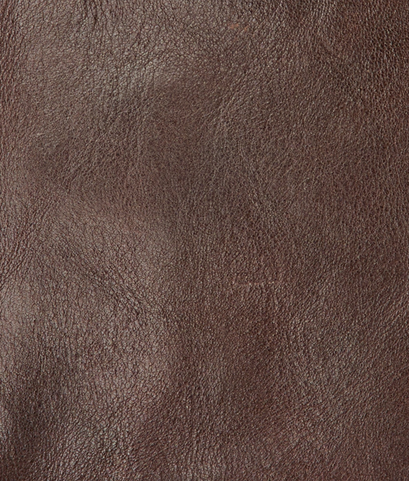 Cosimo Bifold Wallet :: Espresso - Image 4