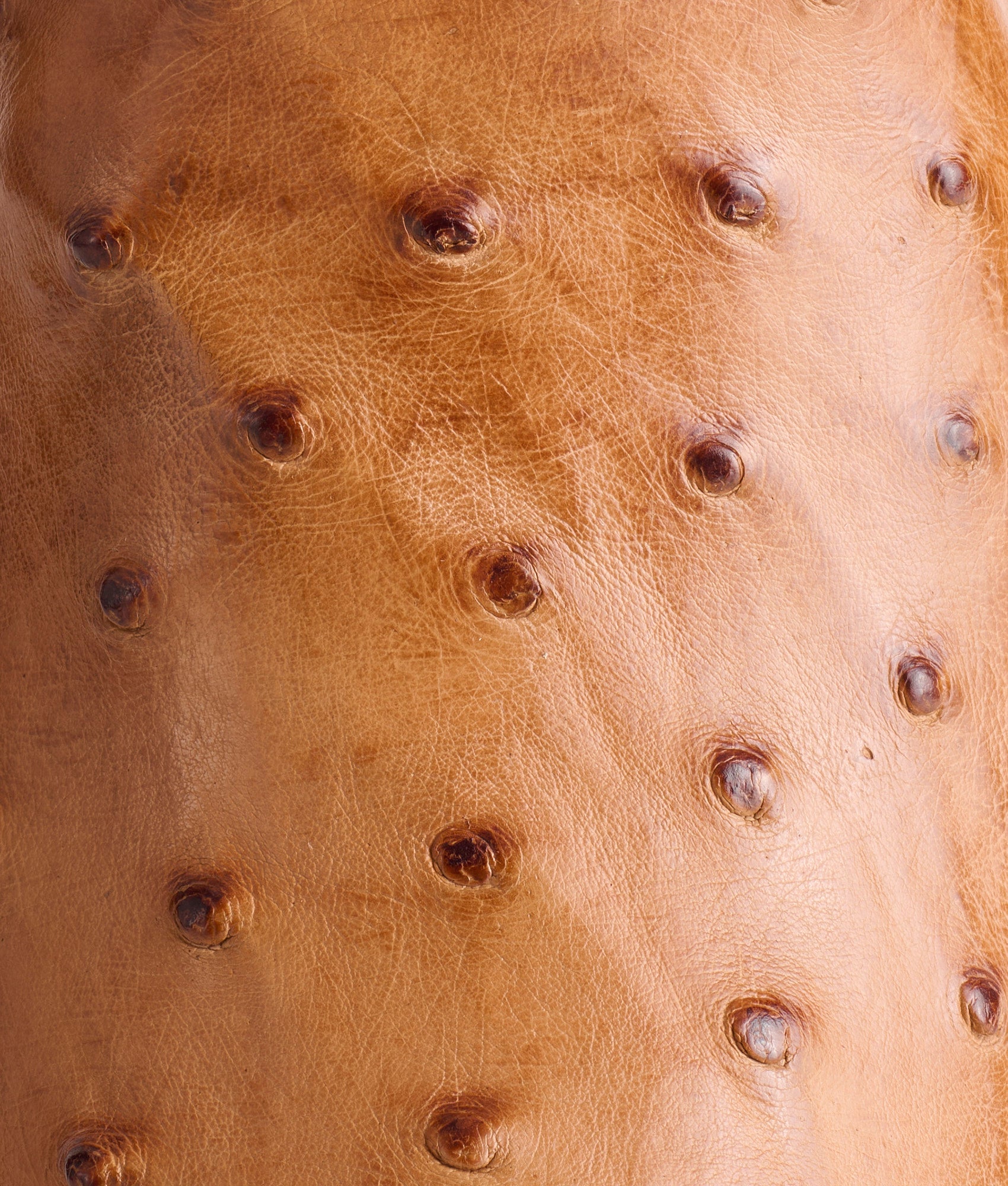 Luke :: Barnwood + Tan - Image 7