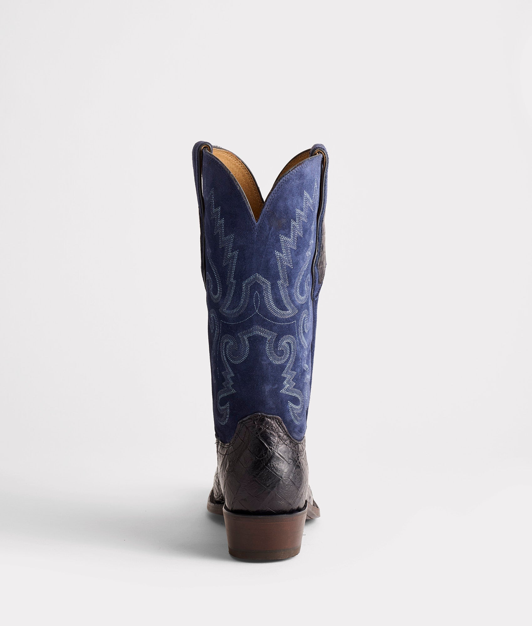 The Signal :: Black - Image 4