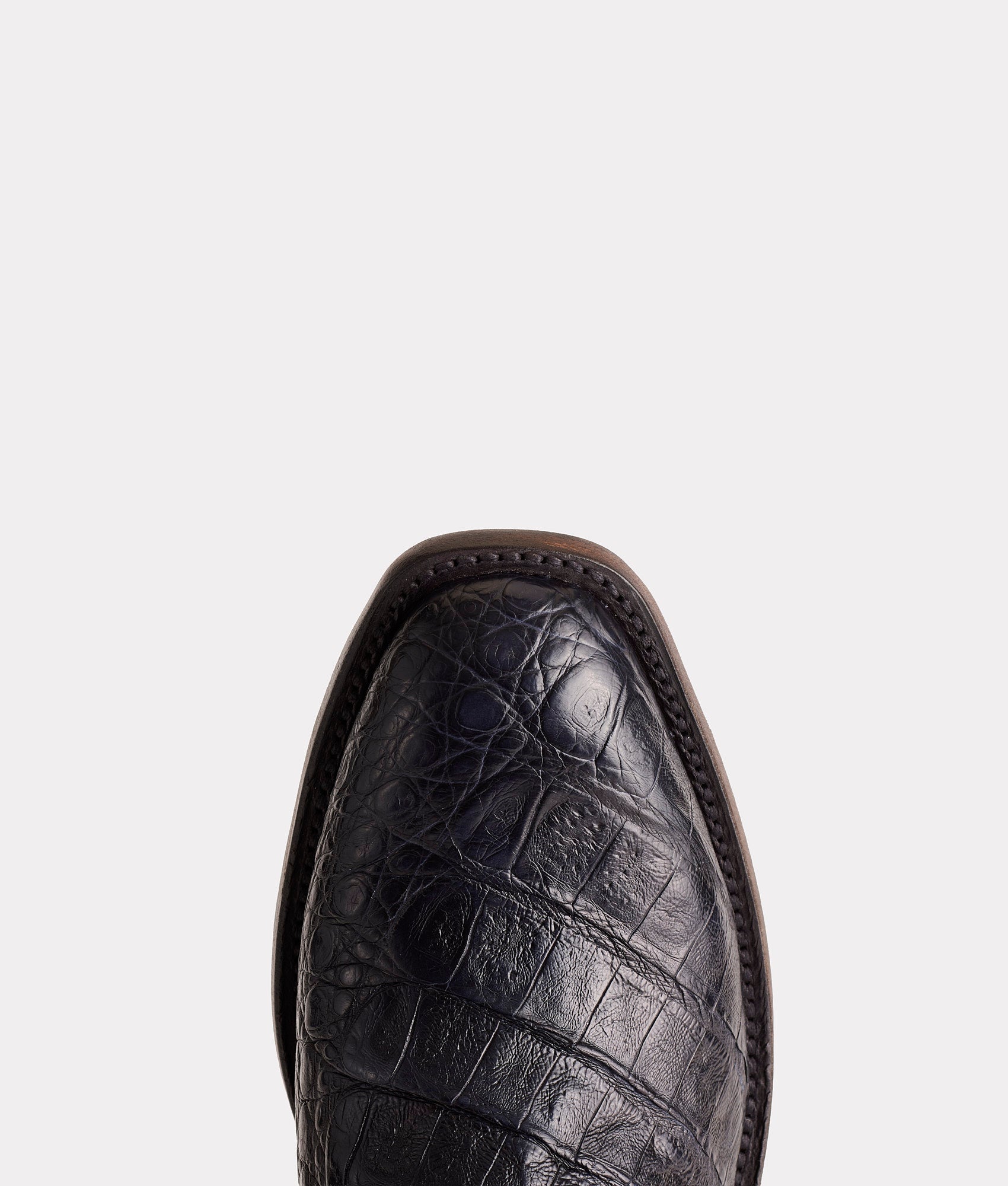 The Signal :: Black - Image 7