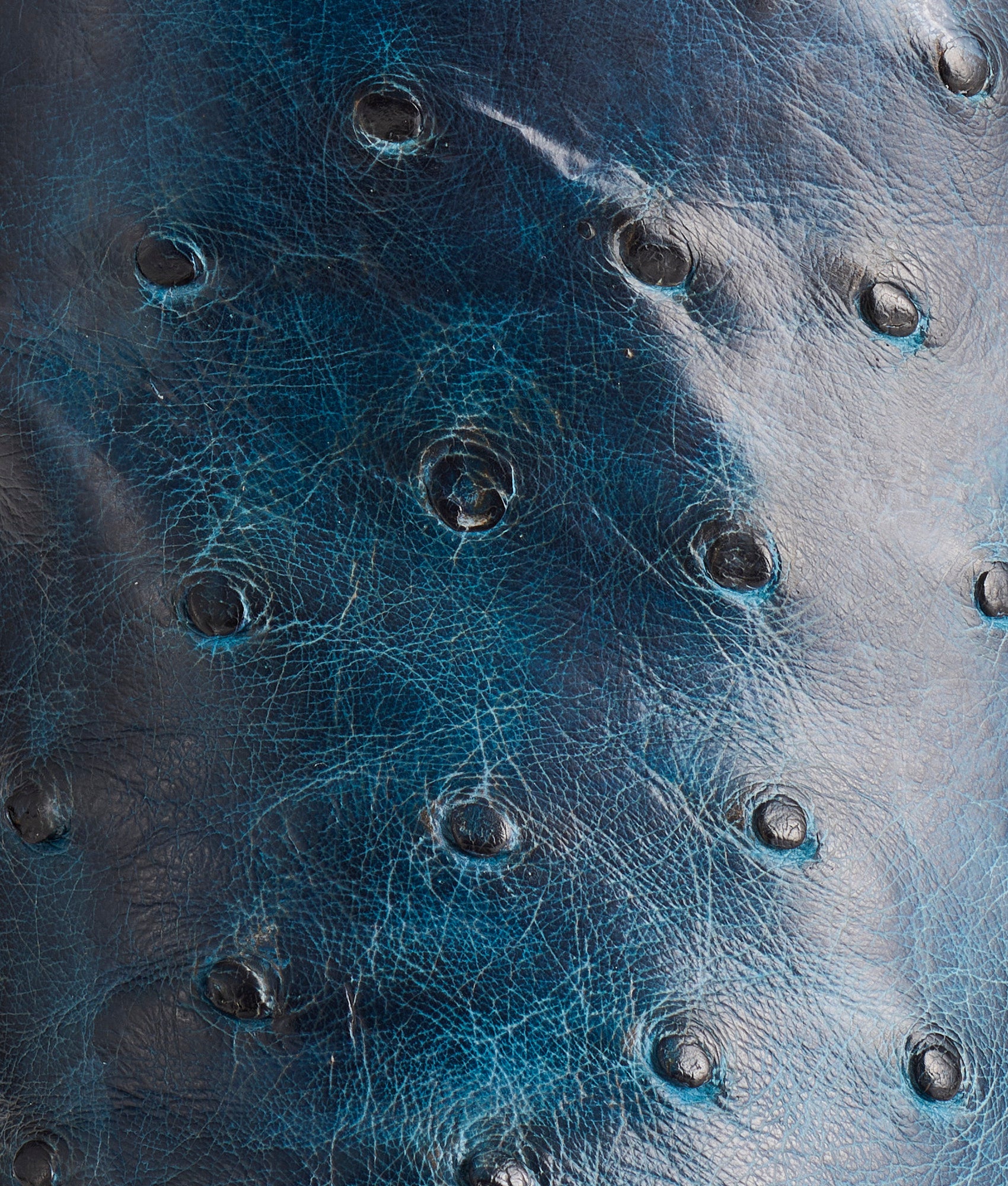 Hudson :: Navy + Chocolate - Image 7