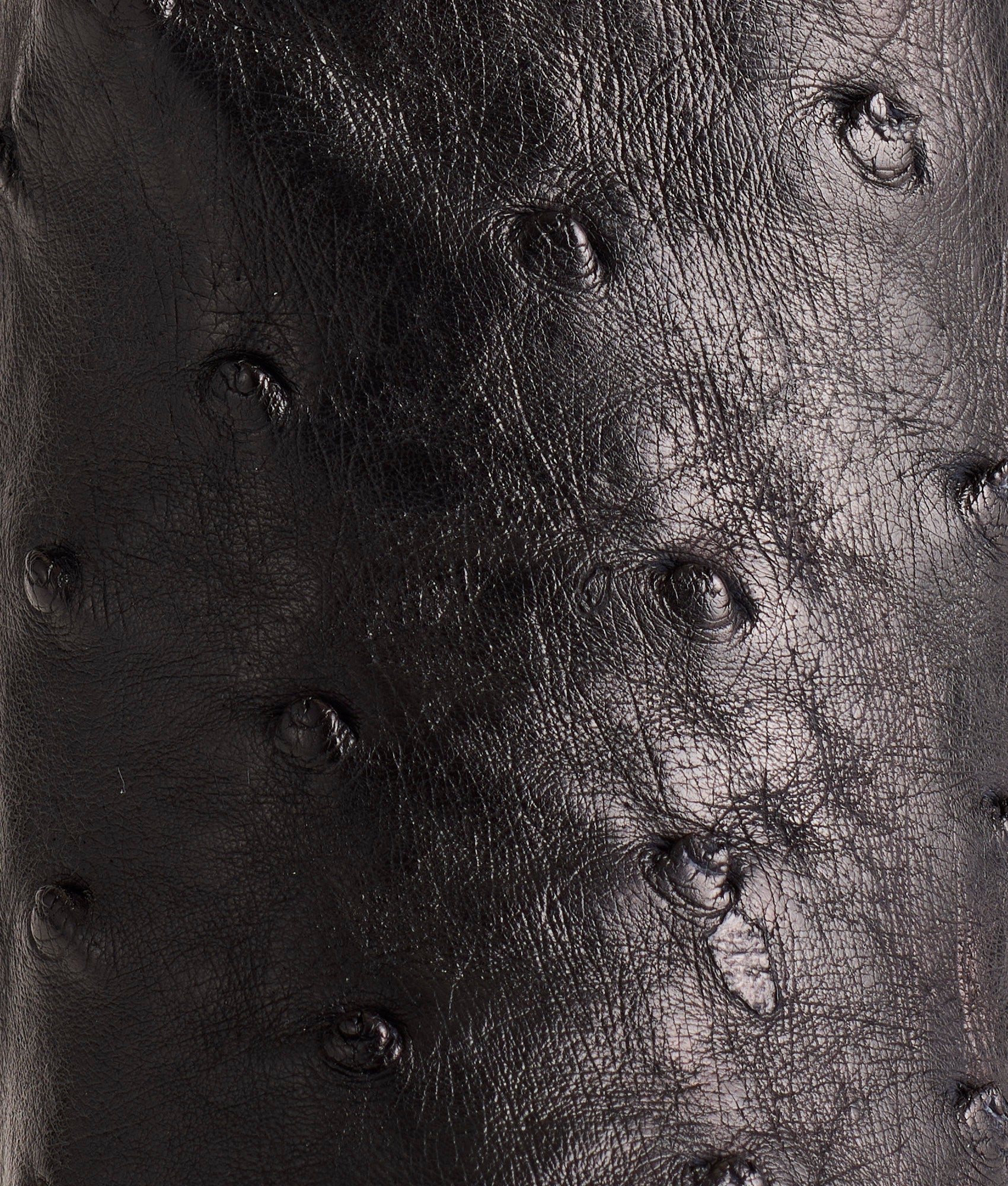 Josephine :: Black + Anthracite Grey - Image 7