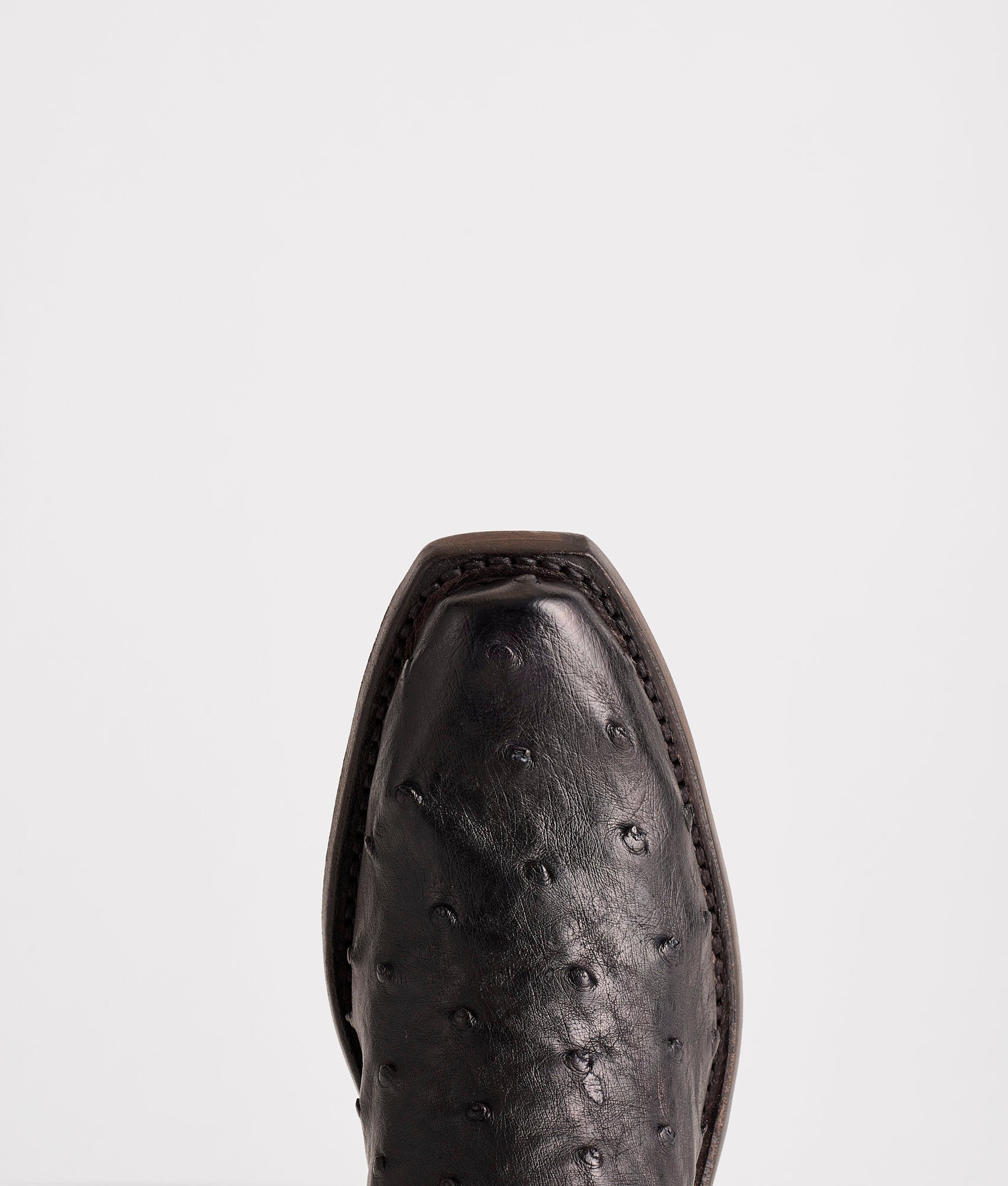 Josephine :: Black + Anthracite Grey - Image 6