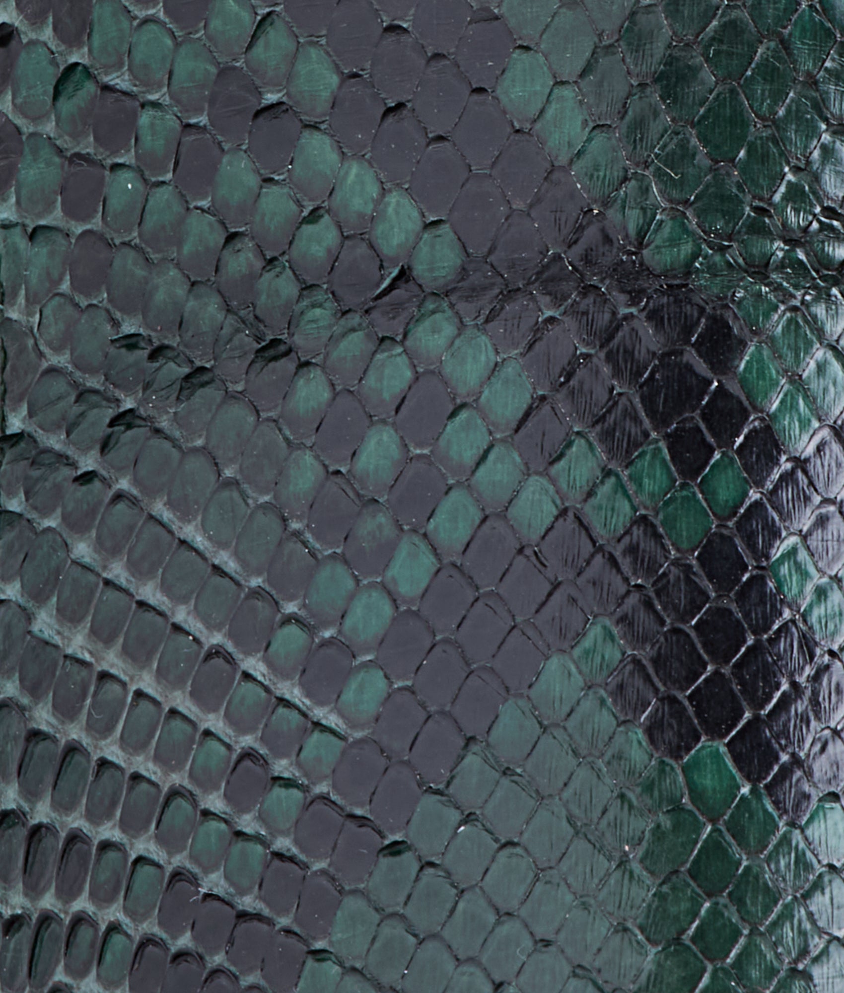 Dale Exotic :: Emerald - Image 8