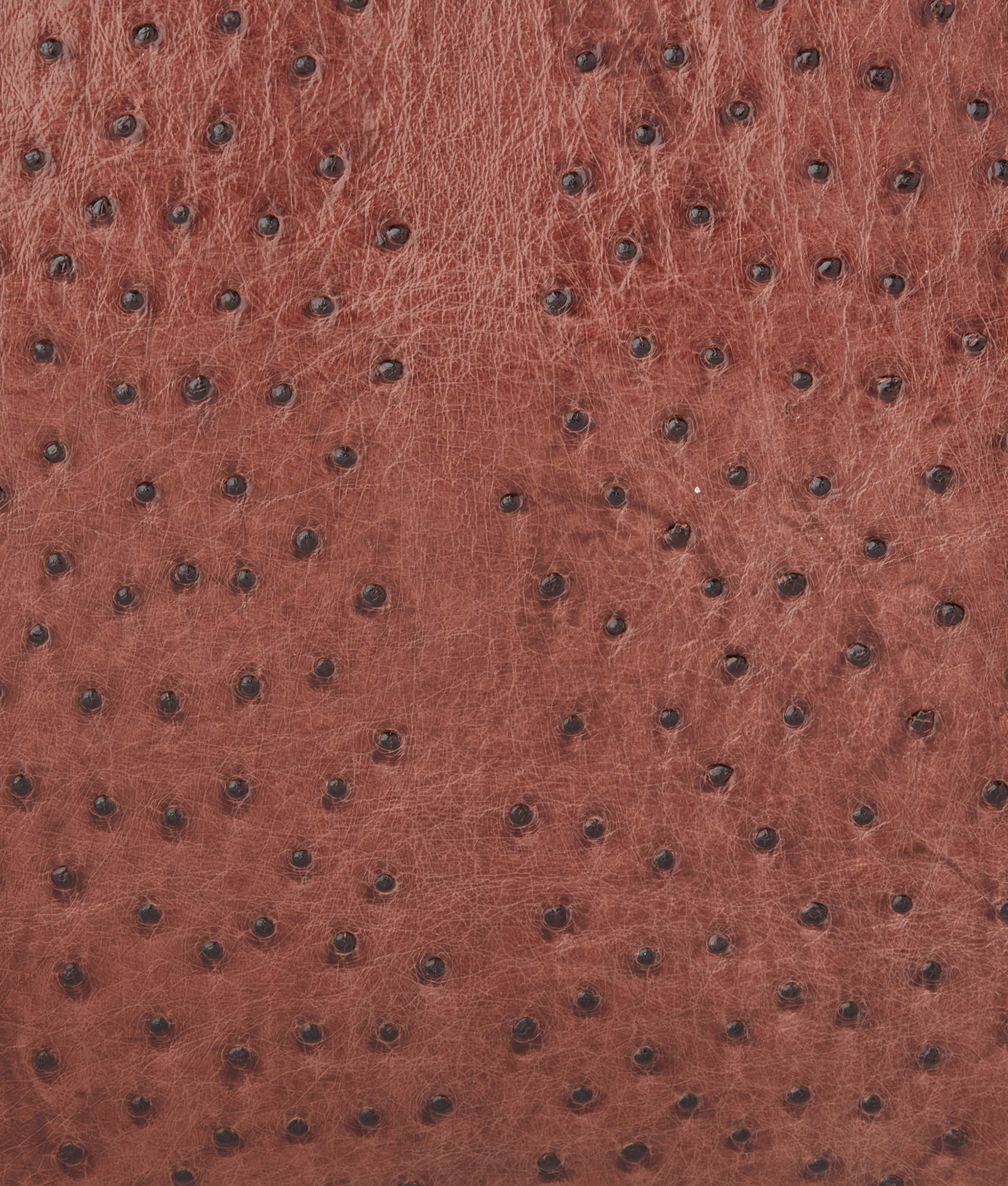 Ostrich Duffle - Large :: Chocolate - Image 11